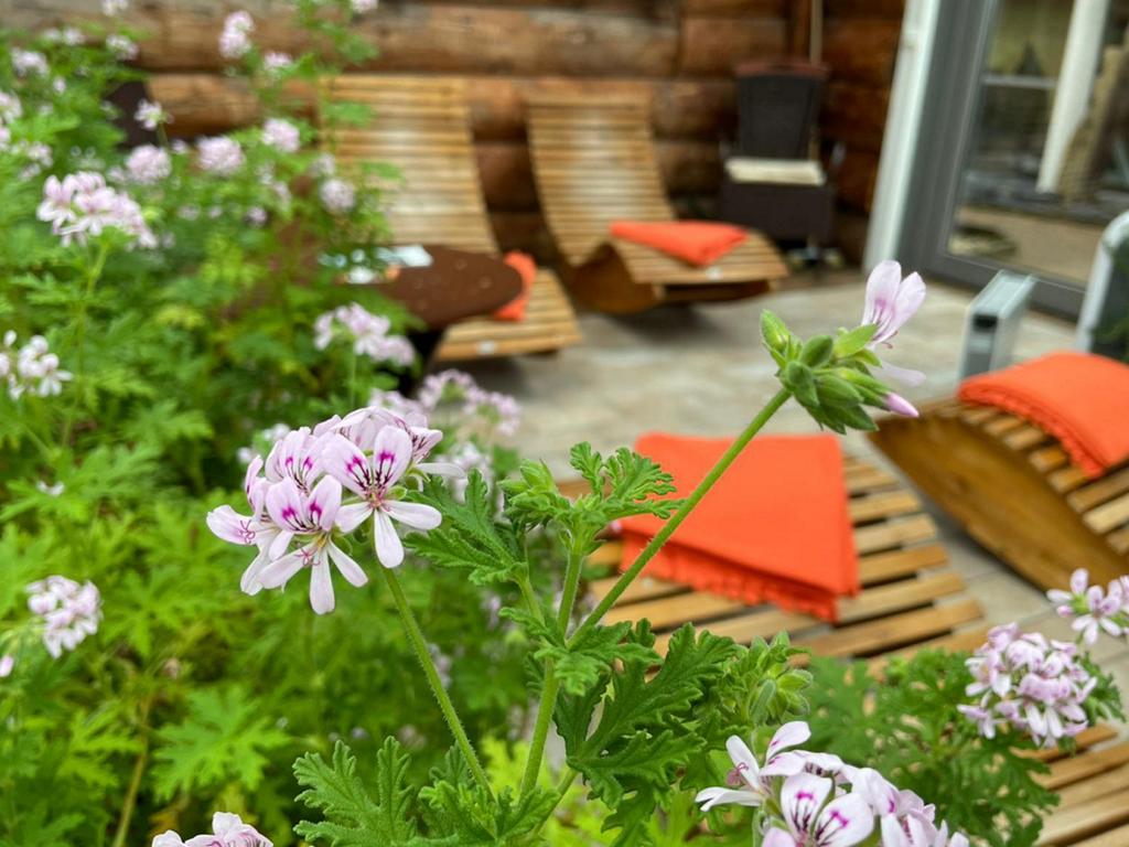 Sauna Wellness erlebnis Mutter Kind Kurklinik